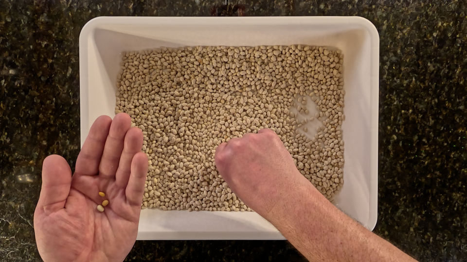 Sorting Beans
