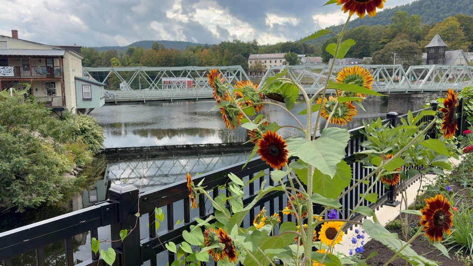 Bridge of Flowers