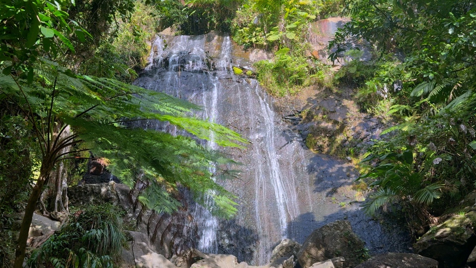 La Coca waterfall, El Yunque