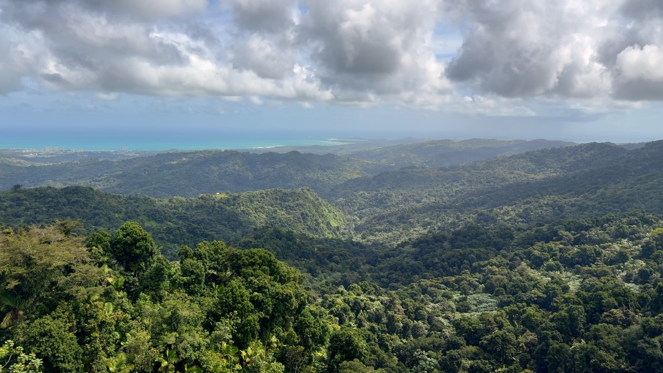 El Yunque view